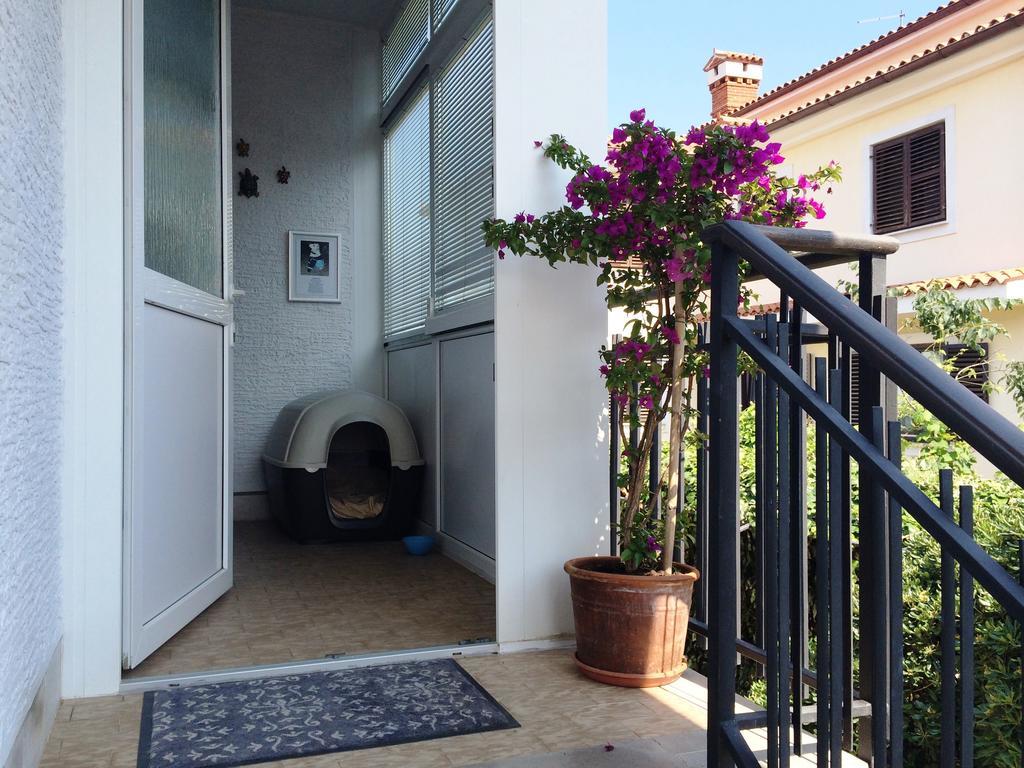Apartments Kolorcek Izola Eksteriør bilde